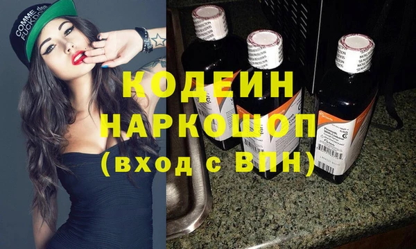 шишки Пестово