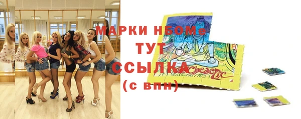 тгк Ельня