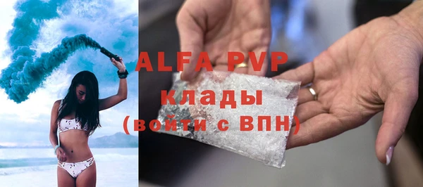 молекула духа Александровское