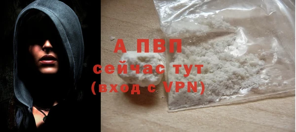 тгк Ельня