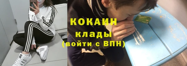 тгк Ельня