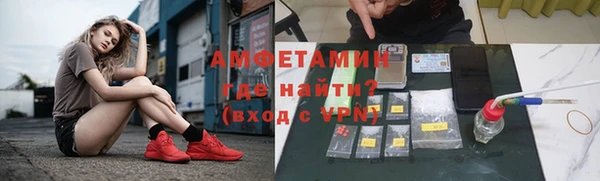 шишки Пестово