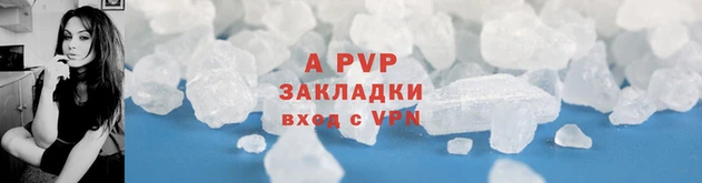 шишки Пестово