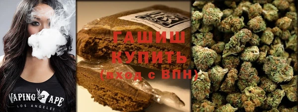 дмт Пересвет