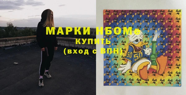тгк Ельня