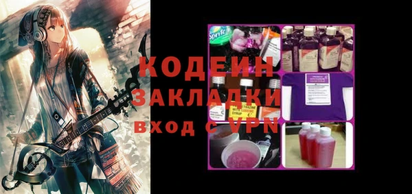 дмт Пересвет