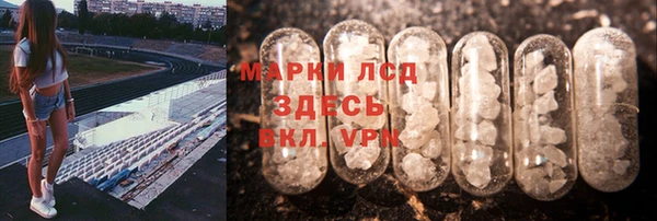 шишки Пестово