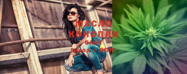 тгк Ельня