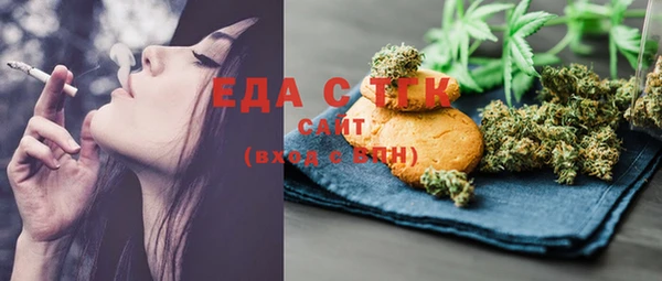 тгк Ельня